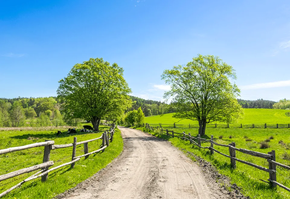 Ligantes Hidráulicos